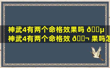 神武4有两个命格效果吗 🐵 「神武4有两个命格效 🐬 果吗怎么弄」